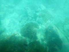 -亚龙湾海底世界