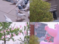 -中粮·祥云小镇