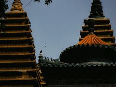 -北京石刻艺术博物馆(五塔寺)