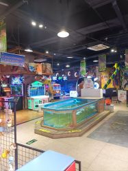 -卡通尼·Safari非洲探索乐园·生日会(金桥国际商业广场店)