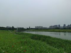 -洋湖国家湿地公园