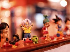 -大阪烧肉BAKA一代(十亩地店)