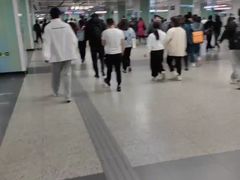 -宋家庄(地铁站)
