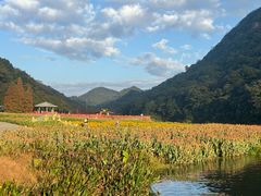 -广州市石门国家森林公园