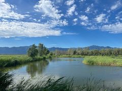 -野鸭湖国家湿地公园