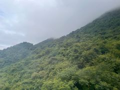 -仙岛湖旅游风景区