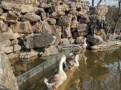-洛阳市隋唐城遗址植物园