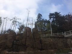 -罗田薄刀峰风景区