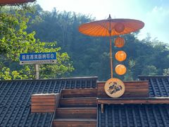 -西双版纳原始森林公园