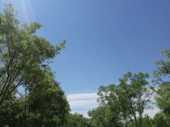 -永定河休闲森林公园