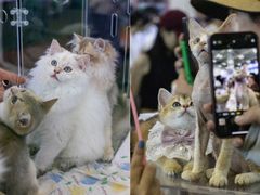 -宁波国际会展中心