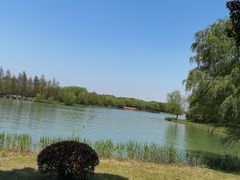 -苏州太湖国家湿地公园