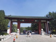 -百脉泉景区
