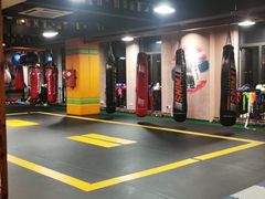 -臻元搏击格斗泰拳拳馆(港隆店)