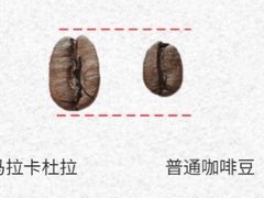 -星巴克臻选(深圳龙岗万科店)
