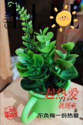 -绿野星空儿童乐园