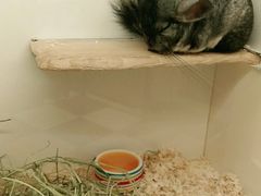 -龙猫仔乐园(惠福东路店)