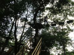 -芦仙山景区-飞越丛林探险乐园