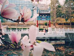 -北京积水潭医院-停车场