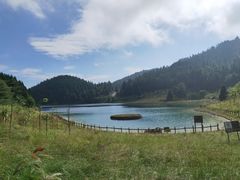 -武陵山森林公园