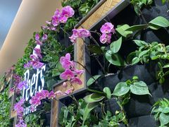 -Peet's Coffee皮爷咖啡(豫园店)