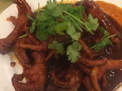 鸡爪-鹤乡东北菜(崮山路店)
