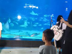 -烟台海昌鲸鲨海洋公园