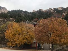 -北京凤凰岭