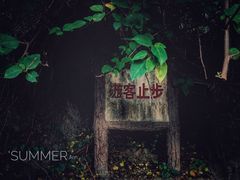 -金鸡山公园