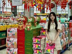 -佳佳美·囍悦水乡