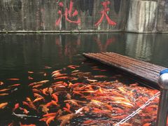 -千岛湖东南湖区