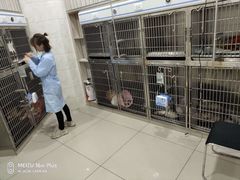 -瑞鹏瑞爱宠物医院·全科·猫科·血液透析中心(龙头寺店)