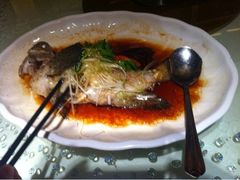 清蒸老鼠斑-渔民新村(番禺总店)