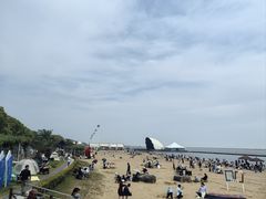 -碧海金沙