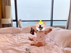 -苏州太湖假日酒店