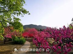 -国家植物园