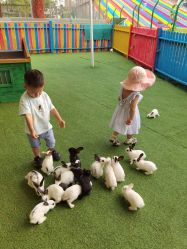 -萌宠亲子动物乐园(槐房万达店)