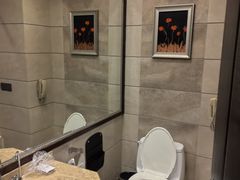 -长沙小天鹅戴斯酒店