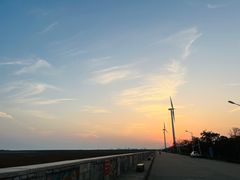 -碧海金沙