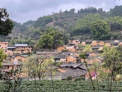 -杨家堂村