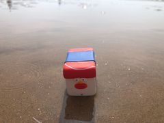 -日照海滨国家森林公园