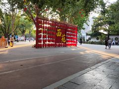 -西苑公园