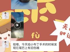 -伟伟宠物医院·CT影像中心·瑞派犬猫综合性门诊(汉口总院)