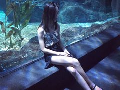 -暹罗海洋世界