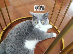 -Catmate·猫肥家润(金润铂宫店)