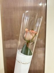 -满天星母婴月子中心(湖塘馆)