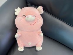 -芙芬芳·半永久纹眉（深圳旗舰店）