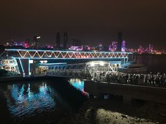 -武汉关码头(轮渡站)