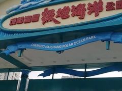 -海合安成都极地海洋公园