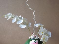 -荷兰布尔玛国际花艺学院